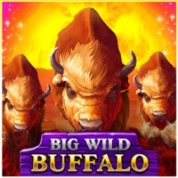Logo of Big Wild Buffalo from Belatra Games at Herospin Casino