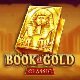 game logo by Playson on herosspin.com